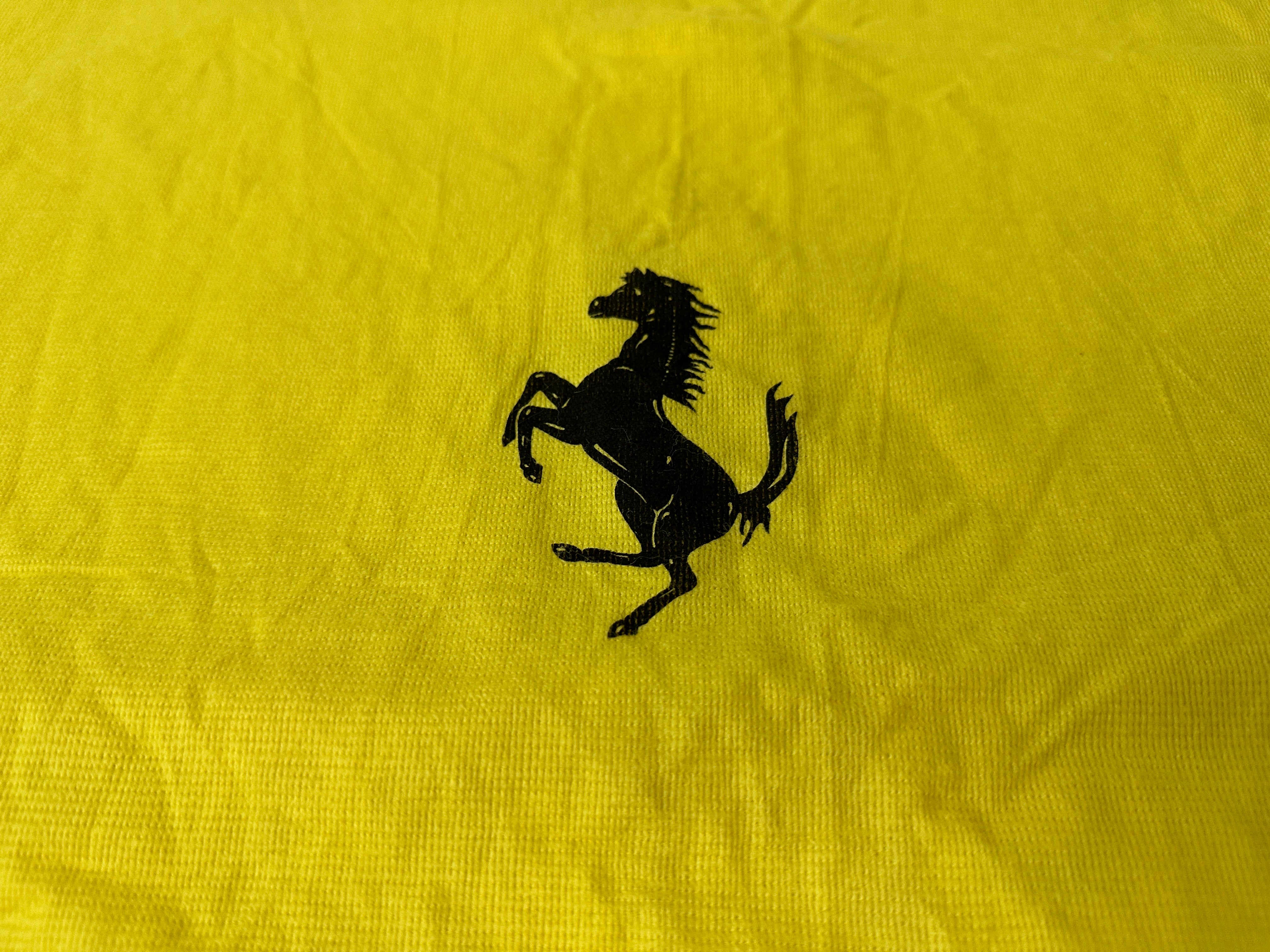 Ferrari Yellow Dust-Cover for Schedoni Luggage Bags, Suitcases