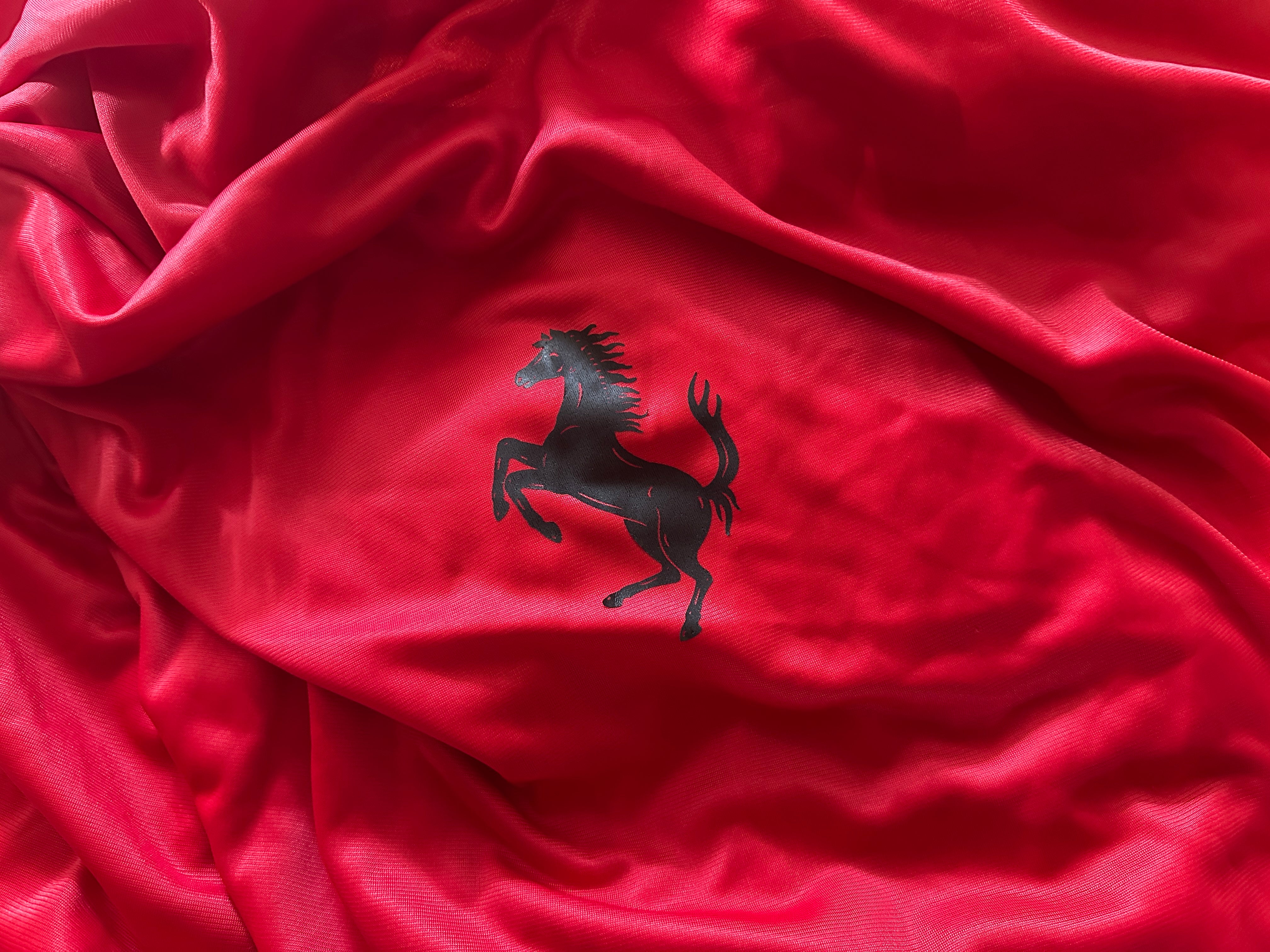 Ferrari FF Indoor Car Cover – Original Part no. 084080800 - Andrea Cov